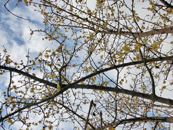 180226_s_roubai2.jpg