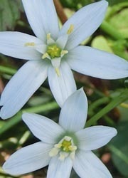 180701_t_o_amana2.jpg