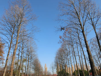 181217_yurinoki2.jpg