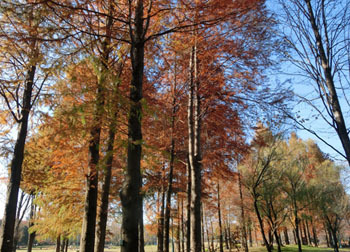 181224_raku_usho2.jpg