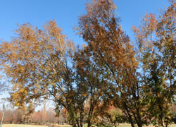 181227_akinire2.jpg
