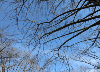 190318_ityo2.jpg