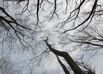 190402_inuside1.jpg