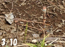 190405_tukusi1.jpg