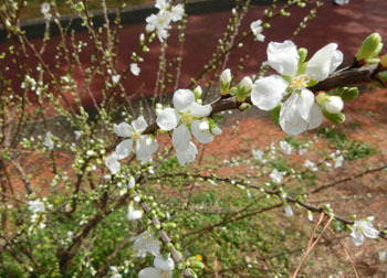 190517_yusura_u1.jpg