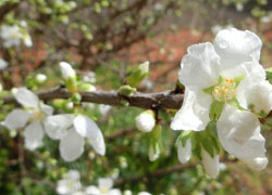 190517_yusura_u2.jpg