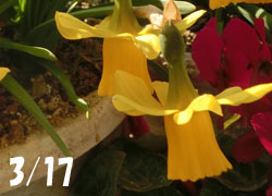 190519_teta_teta01.jpg
