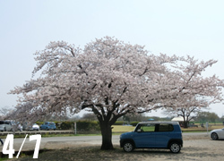 190609_kasen_jiki01.jpg
