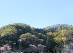 190610_oyama.jpg