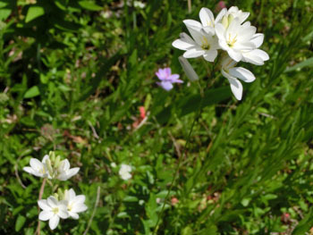 190822_ixia5.jpg