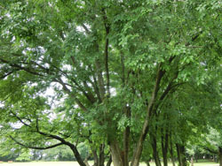190919_akinire1.jpg