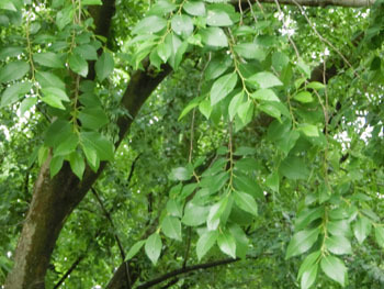 190919_akinire2.jpg