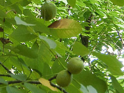 191021_teuti_g.jpg