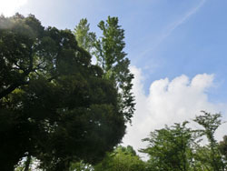 191024_park2.jpg