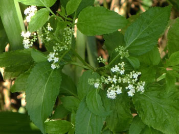 191102_otokoesi3.jpg