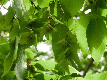 191128_inuside1.jpg