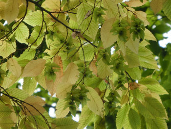 191128_inuside2.jpg