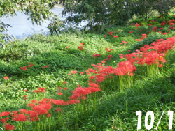 191209_higan_b01.jpg