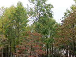 191216_park.jpg