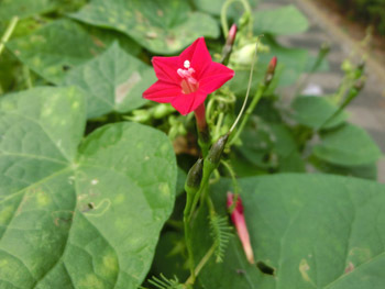 191222_rukou_s3.jpg