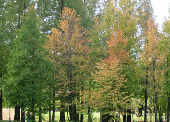 191227_park2.jpg