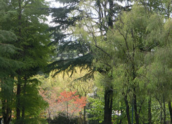 191227_park3.jpg