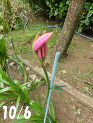 191231_tubomi.jpg