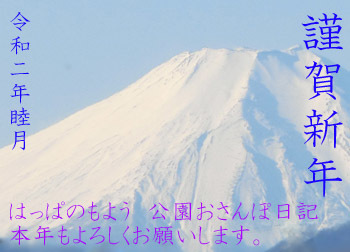 200105_nenga.jpg
