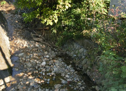 200218_yabumao1.jpg