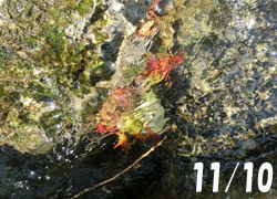 200222_kawa1.jpg