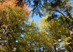 200228_ityo1.jpg