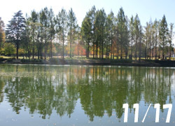 200228_park.jpg