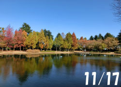200229_park.jpg
