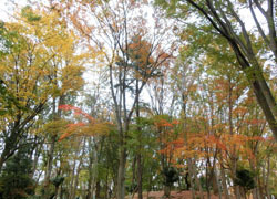 200303_park3.jpg