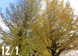 200306_ityo.jpg