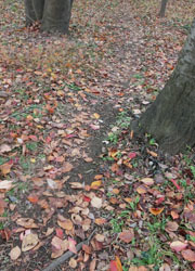 200306_miti.jpg