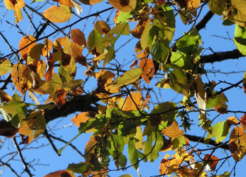 200310_inuside1.jpg