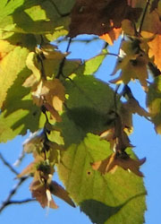 200310_inuside2.jpg