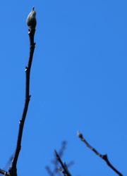 200316_simokuren.jpg