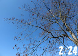 200320_k_y_han_noki1.jpg