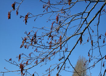 200320_k_y_han_noki2.jpg