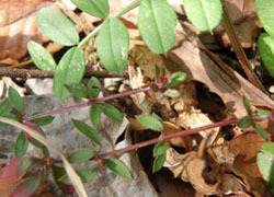 200327_h_y_mugura2.jpg