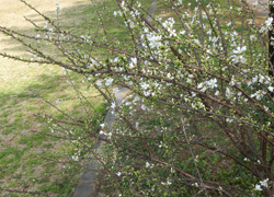 200505_yusura_u1.jpg