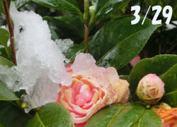 200521_yuki1.jpg