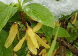 200521_yuki4.jpg