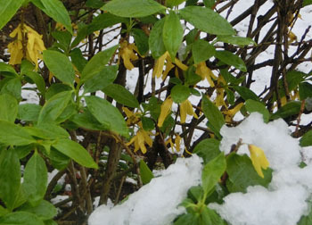 200521_yuki5.jpg