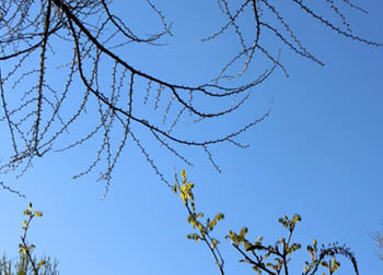 200527_ityo2.jpg