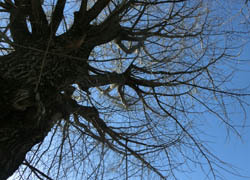 200527_ityo3.jpg