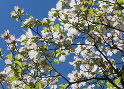 200528_h_mizuki4.jpg