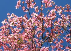 200528_h_mizuki6.jpg